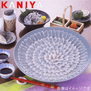 KNY-F04
