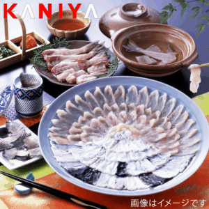 KNY-F07