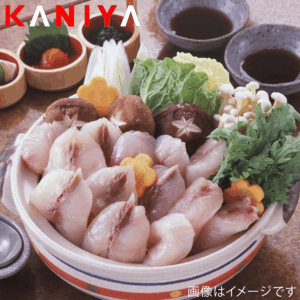 KNY-F11