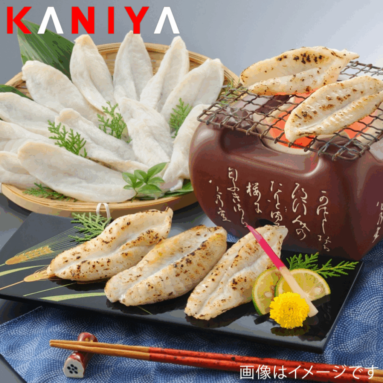 KNY-F12