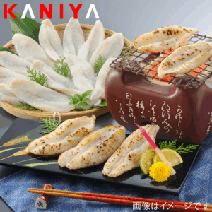 KNY-F13