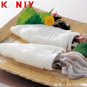KNY-KE01
