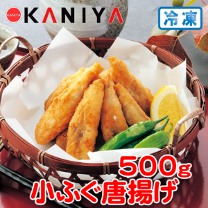 KNY-F23_EC